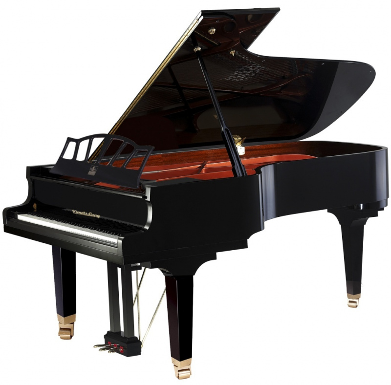 Wendl&Lung W218BK рояль акустический, черный