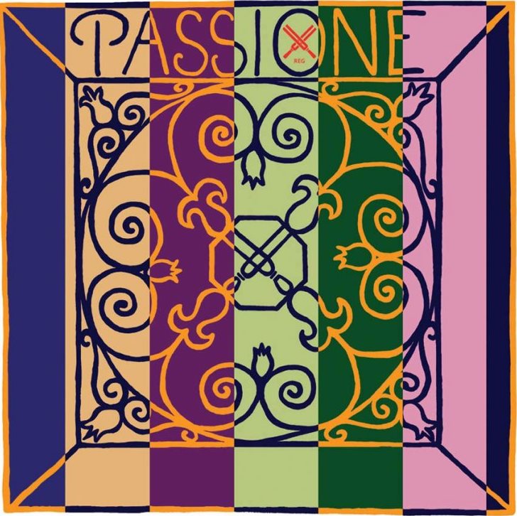 Pirastro 311381 Passione Solo отдельная струна Е (Ми) для скрипки 4/4, сталь.