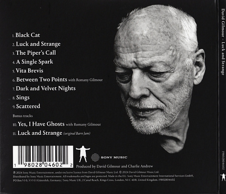 DAVID GILMOUR · LUCK AND STRANGE · CD