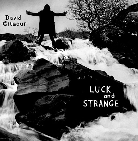 DAVID GILMOUR · LUCK AND STRANGE · CD