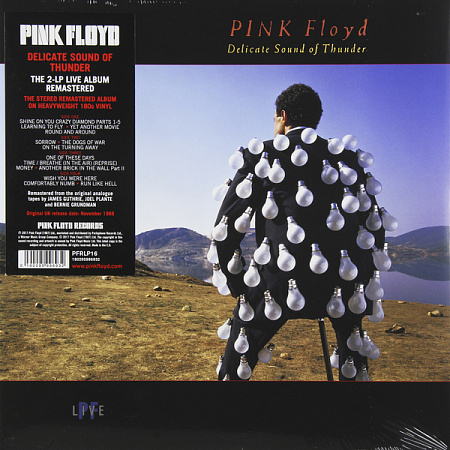 PINK FLOYD · DELICATE SOUND OF THUNDER · 2LP