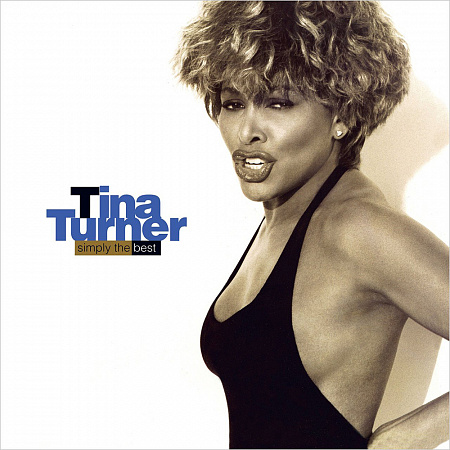 TINA TURNER · SIMPLY THE BEST · 2LP